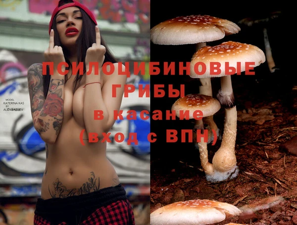 MESCALINE Арсеньев