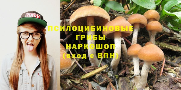 не бодяженный Аркадак